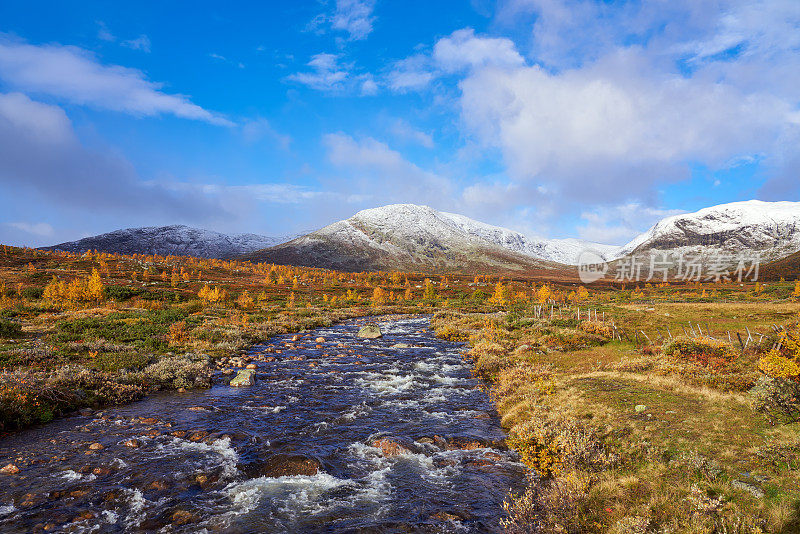 挪威，Hemsedal Buskerud，山上的秋天的绒毛桦树景观